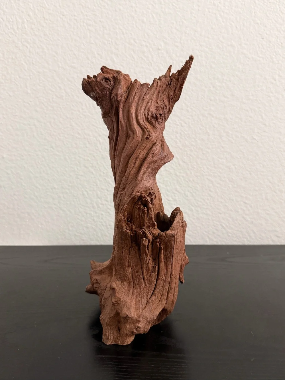 Natural Driftwood Decorative Accent - fish tank or reptiles decoration
